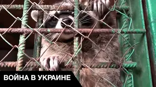 😐 Российские солдаты издеваются над животными в Украине