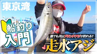 【ビシアジ釣り】船釣り入門に最適‼︎初心者でも釣れる東京湾のブランドアジ釣り方講座【走水アジ】【高取丸】