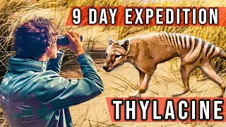 Expedition to Find The Tasmanian Tiger (Thylacine)