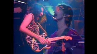 Frank Zappa - Stevie's Spanking (The Torture Never Stops, The Palladium, NYC 1981)