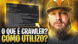 O que é CRAWLER? Como Utilizo? #crawling #bugbounty #bugbountytips #hacking #videostodososdias