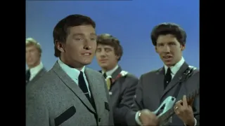 The Tremeloes   Someone Someone