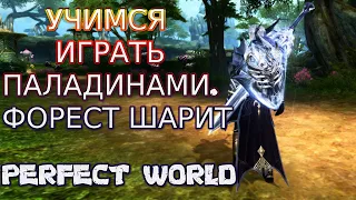 УЧИМСЯ ИГРАТЬ ЗА ПАЛАДИНА, Форест ЗАДОНАТИЛ 800К РУБЛЕЙ | PERFECT WORLD