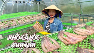 Tìm hiểu quy trình làm đặc sản khô cá lóc Chợ Mới của cơ sở khô cá lóc Kim Loan
