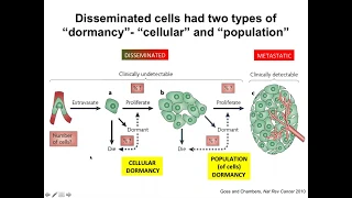 Tumor Dormancy