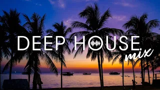 Avicii, Calvin Harris, Kygo, Alok, Robin Schulz, David Guetta, Gryffin   Summer Vibes Mix #461