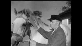 Киножурнал «Рысаки на Полтавщине», 1944 год.
