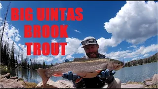 High Uintas backpacking for BIG! brook trout