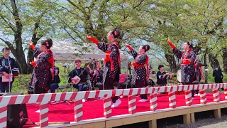 令和6 年角館の桜まつりおやま囃子イベント 櫻義会　第二部