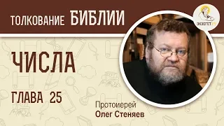 Числа, Глава 25. Протоиерей Олег Стеняев. Толкование Ветхого Завета. Книга Чисел. Толкование Библии