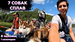 Сплав с 7 СОБАКАМИ В ОДНОМ КАТАМАРАНЕ | Так ли легко сплавляться с ХАСКИ