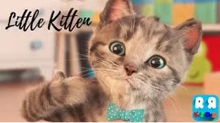 Little Kitten / Маленький Котенок. 2017.