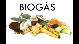 BIOGAS   CONVIRTIENDO DESECHOS EN ENERGÍA Parte 1