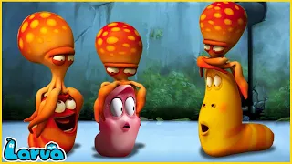 LARVA | OCTOPUS | CARTOON MOVIE FOR LIFE | THE BEST OF CARTOON | HILARIOUS CARTOON COMPILATION