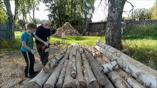 Заготовка дров с внуками!