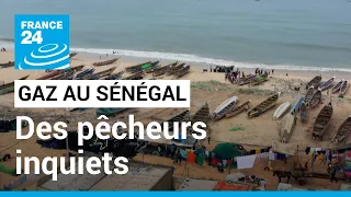 Au Sénégal, la pêche menacée par l’exploitation du gaz offshore • FRANCE 24