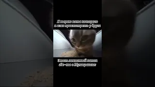 С Наступающим Новым Годом! #мем #рек #рекомендации #meme #2024