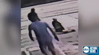 Fight over parking spot leads to deadly shooting in Clearwater | Surveillance video