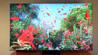 ТВ за 500 тысяч ₽. Samsung 65" Q950T 8K Smart QLED TV 2020 / Арстайл /