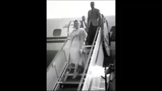 Marilyn Monroe arrives at New York Airport Sept 1954. "Mobs scare me". #shorts #star #movies