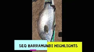 BARRAMUNDI FISHING ADVENTURES BARRAMUNDI FISHING HOW TO CATCH BARRAMUND FISHING AUSTRALIA BARRA