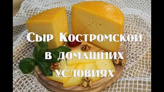 Сыр Костромской, мастер класс по приготовлению в домашних условиях