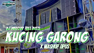 DJ MELODY KUCING GARONG X MASHUP OPUS FULL BASS VIRAL TIKTOK || PETROK 96