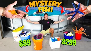 Stocking My SALTWATER POND With Tons of EXOTIC SEA CREATURES! (Shopping Spree #3!)