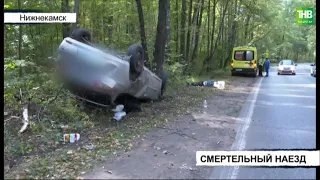 В Татарстане пожилой мужчина грибник, выходя из леса, погиб под колесами иномарки | ТНВ