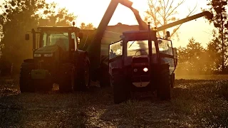 Wielkie żniwa na Opolszczyźnie 2016! 600ha vs 9 kombajnów! Big harvest in Poland!