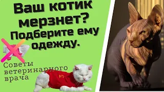 Одежда для сфинкса