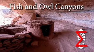 Fish and Owl Canyons; backpacking and finding cliff dwellings; Cedar Mesa, Utah