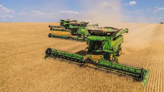 4X John Deere X9 1100 On Field | Extreme Big Harvest in Czech Republic