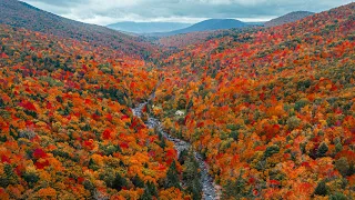 The Best Destination for Fall Foliage in America 🍂🍁