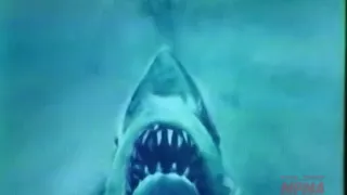 Jaws (1975)