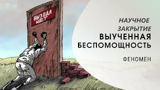 Выученная беспомощность. Научное закрытие.