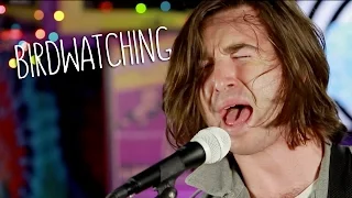 THE SHELTERS - "Birdwatching" (Live at JITV HQ in Los Angeles, CA) #JAMINTHEVAN