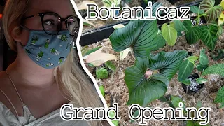 The Grand Opening of Botanicaz Plant Shop 'Rare and Exciting Plants'