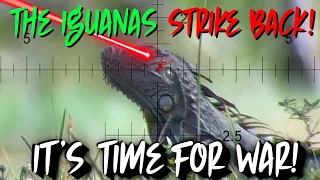 Hunting Backyard DINOSAURS  - Iguana Invades Erlis's Garage @OriOnTheIguanaHunter