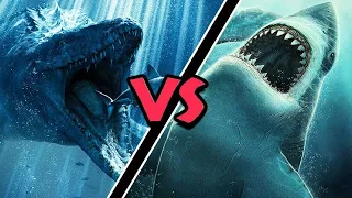 Megalodon VS Mosassauro. Quem venceria essa Batalha?