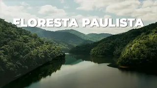 HOTEL DE SELVA EM SÃO PAULO - Pousada Salve Floresta em Tapiraí SP