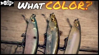 3 Jerkbait Color Selection Guidelines That Produce