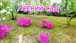 Летний сад.Владимир Алмазов