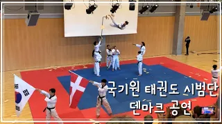 🇩🇰 국기원 태권도 시범단 덴마크 공연 | 덴마크 현지 반응 | 놀랍고 예술적인 공연 실황