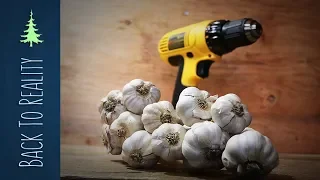 How to Peel Garlic in Seconds with a Drill! (DIY garlic peeling machine)