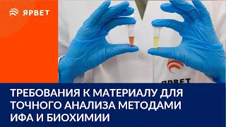 Диагностика заболеваний КРС. Требования к материалу для точного анализа методами ИФА и биохимии