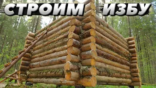 Изба "Времена Года" строится | ЛЕСНОЙ ДОМ | ИЗБА | FOREST HOUSE | DUGOUT | HUT