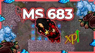 MS 683 Hunt Solo Great Pearl Fan Reef 1.1kk+ Profit/h - Tibia Hunt [12.91] #tibia #tibiahunt #hunts