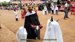 DANZA TORITO NEGRO EMBROLLERO