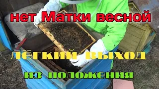 Нет матки весной???как изменить?!?!?